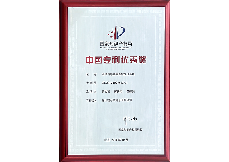 中国专利优秀奖